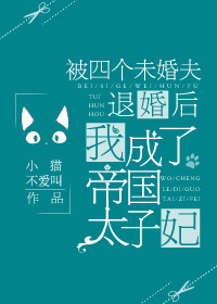 《被四个未婚夫退婚后，我成了帝国太子妃》封面