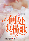 《何处复槿歌》封面