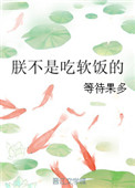 《朕不是吃软饭的》封面