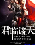 《君临诸天》封面