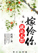 《重生之就是不想嫁给你》封面