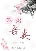 《不识吾妻》封面