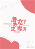 《萧先生宠妻手册》封面