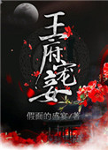 《王府宠妾》封面