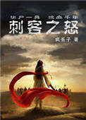 《刺客之怒》封面