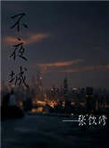 《不夜城》封面