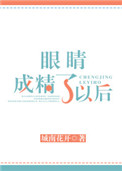 《眼睛成精了以后》封面