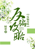 《反骗攻略(快穿)》封面
