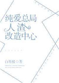 《纯爱总局人渣改造中心》封面