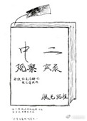 《中二观察实录》封面