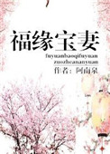 《福缘宝妻》封面