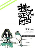 《撩汉正当时[快穿]》封面