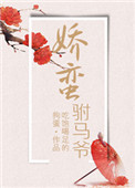 《娇蛮驸马爷》封面