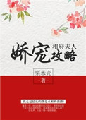 《相府夫人娇宠攻略（重生）》封面