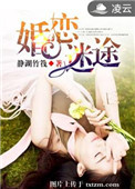 《婚恋迷途》封面
