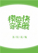 《模范快穿手册》封面