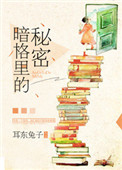 《暗格里的秘密》封面