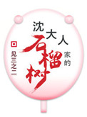 《沈大人家的石榴树（重生）》封面