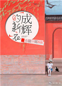 《成辉的新衣》封面