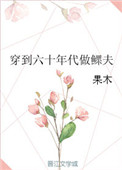 《穿到六十年代做鳏夫》封面