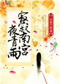 《寂寂南宫夜青雨》封面