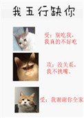 《我五行缺你》封面