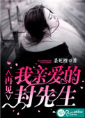 《再见，我亲爱的封先生》封面