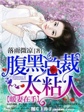《暖妻在手：腹黑总裁太粘人》封面