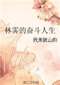 《林霁的奋斗人生》封面