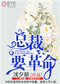 《二婚娇妻，总裁要革命》封面