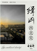 《缉凶西北荒》封面