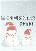 《综椎名朝雾的山鸡》封面