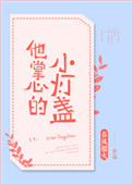 《他掌心的小灯盏》封面
