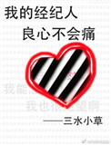 《我的经纪人良心不会痛》封面