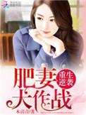 《重生逆袭：肥妻大作战》封面