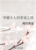 《宰辅夫人的荣宠之路》封面