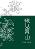 《我见青山》封面