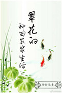 《翠花的种田农家生活》封面
