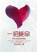 《一招毙命》封面