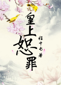 《皇上恕罪》封面