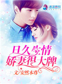 《日久生情：娇妻很大牌》封面