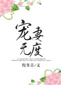 《宠妻无度》封面