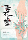 《妻不可攀》封面