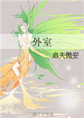 《外室》封面