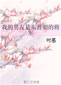 《我的男友是东晋朝的将军》封面