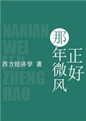 《那年微风正好》封面