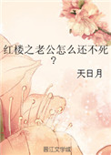 《红楼之老公怎么还不死》封面