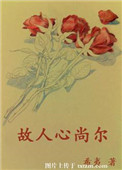 《故人心尚尔》封面