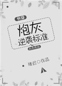 《炮灰逆袭标准（快穿）》封面