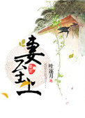 《妻至上》封面
